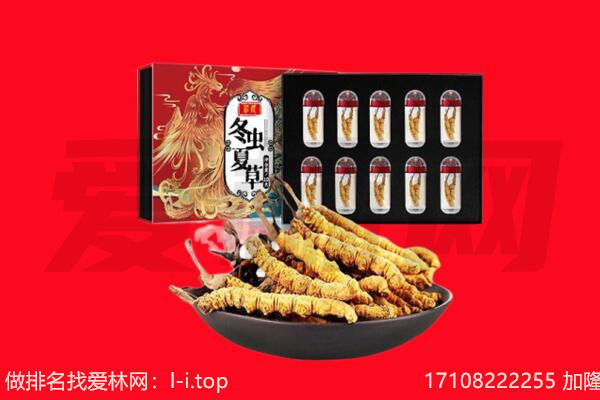 临汾汾西县回收虫草.jpg